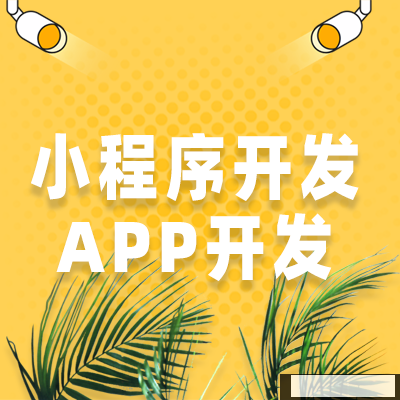 企业可以自行开发小程序，第三方外包公司为什么还是层出不穷？